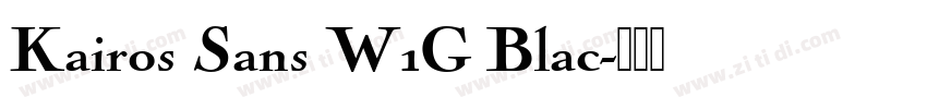Kairos Sans W1G Blac字体转换
